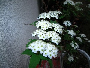 f:id:amihsim:20080420160626j:image:right