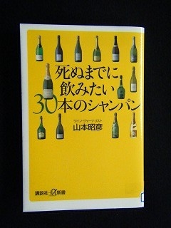 f:id:amihsim:20081202081713j:image