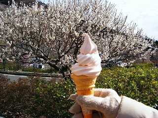 f:id:amihsim:20090218082053j:image