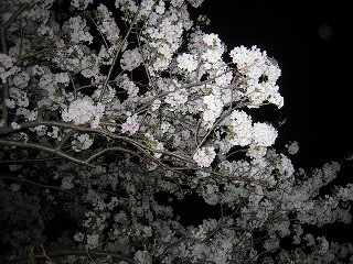 f:id:amihsim:20090328082611j:image
