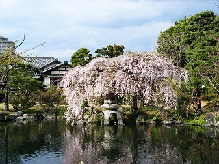 f:id:amihsim:20090329081652j:image