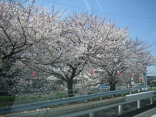 f:id:amihsim:20090404080740j:image