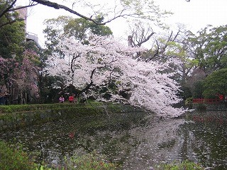 f:id:amihsim:20090406081229j:image