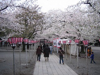 f:id:amihsim:20090406081721j:image