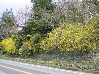 f:id:amihsim:20090410081315j:image