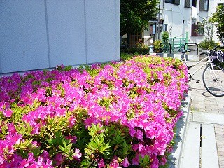 f:id:amihsim:20090503085226j:image