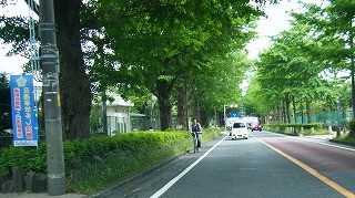 f:id:amihsim:20090605081457j:image