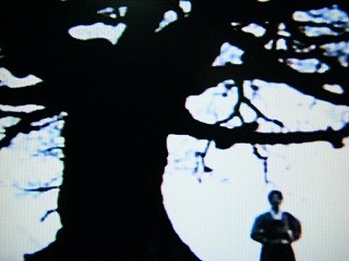 f:id:amihsim:20090716082846j:image
