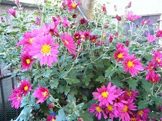 f:id:amihsim:20091125084848j:image