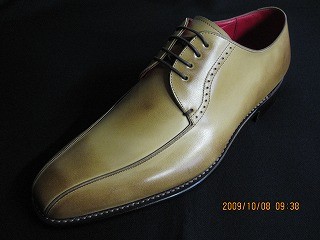 f:id:amihsim:20100201155226j:image