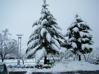 f:id:amihsim:20100203071202j:image