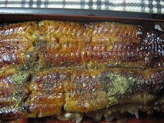 f:id:amihsim:20100221085540j:image