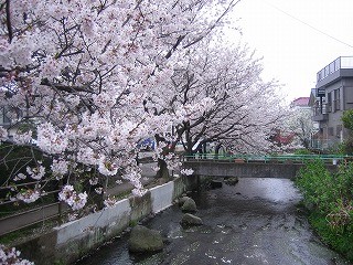 f:id:amihsim:20100313145104j:image