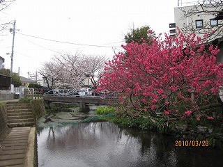 f:id:amihsim:20100330082946j:image