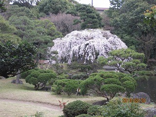 f:id:amihsim:20100330083811j:image