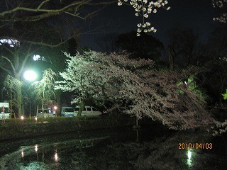 f:id:amihsim:20100404065605j:image