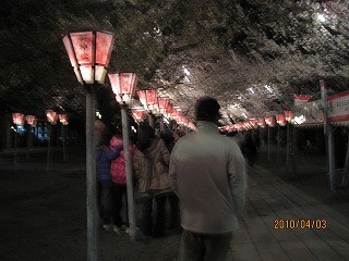 f:id:amihsim:20100404065726j:image