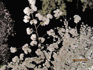 f:id:amihsim:20100404065938j:image