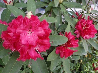f:id:amihsim:20100506123844j:image