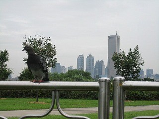 f:id:amihsim:20100512092141j:image