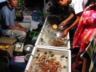 f:id:amihsim:20100725090316j:image