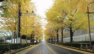 f:id:amihsim:20101123143527j:image