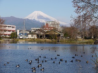f:id:amihsim:20110205174407j:image