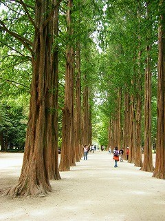 f:id:amihsim:20110311122253j:image