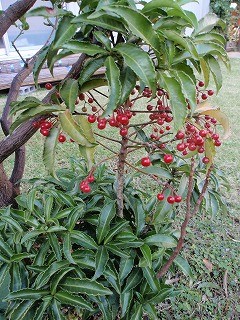 f:id:amihsim:20110317090333j:image