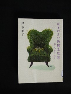 f:id:amihsim:20110409092305j:image