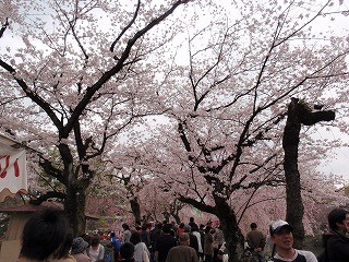 f:id:amihsim:20110411102352j:image