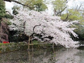 f:id:amihsim:20110416163311j:image