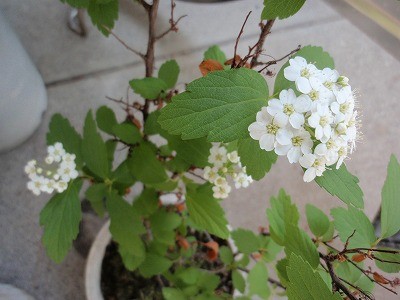 f:id:amihsim:20110425094231j:image