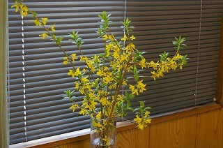 f:id:amihsim:20110605172222j:image