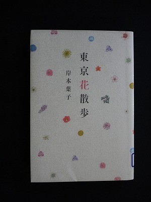 f:id:amihsim:20110704081742j:image