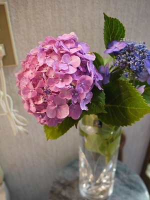 f:id:amihsim:20110704083130j:image