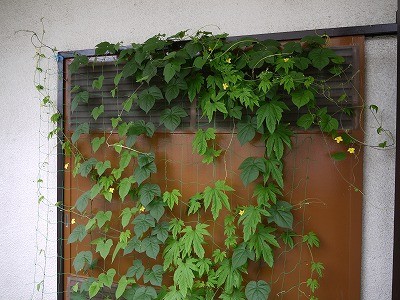 f:id:amihsim:20110704083651j:image