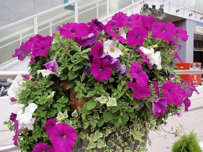 f:id:amihsim:20110825082728j:image