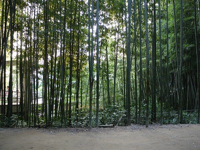 f:id:amihsim:20110922101915j:image