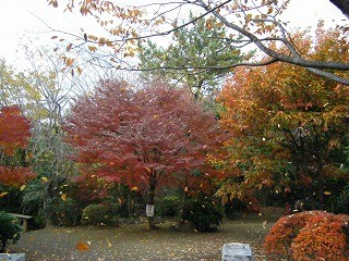 f:id:amihsim:20111207125130j:image