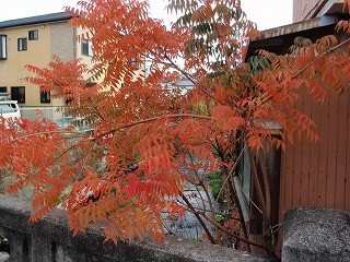 f:id:amihsim:20111207125337j:image