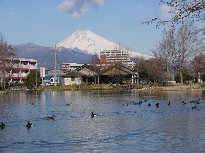 f:id:amihsim:20120126180048j:image