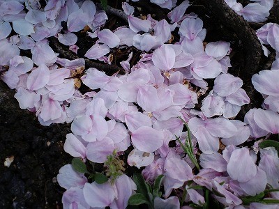 f:id:amihsim:20120214194105j:image