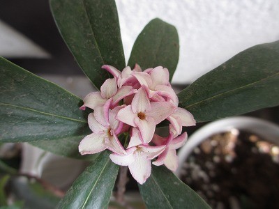 f:id:amihsim:20120319123502j:image