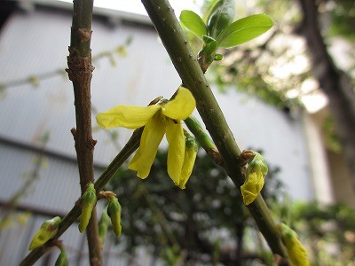 f:id:amihsim:20120319123548j:image