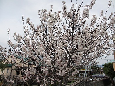 f:id:amihsim:20120319130336j:image