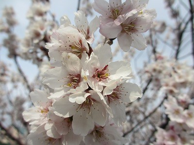f:id:amihsim:20120319130508j:image