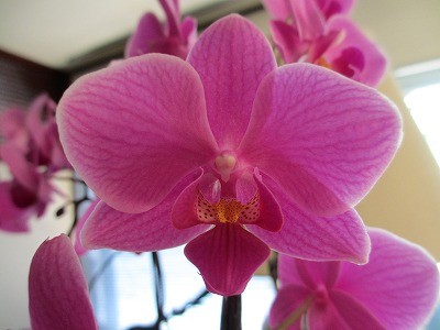 f:id:amihsim:20120401171418j:image