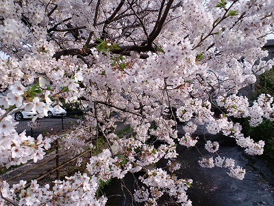 f:id:amihsim:20120404094208j:image