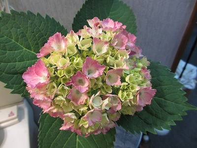 f:id:amihsim:20120610141736j:image